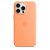 Apple Silicone Case with MagSafe for iPhone 15 Pro Max - Orange Sorbet